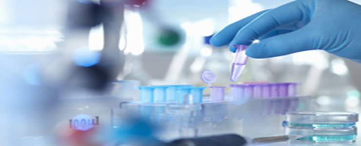 Lab & pilot-scale ODF coating, drying, slitting and packaging line